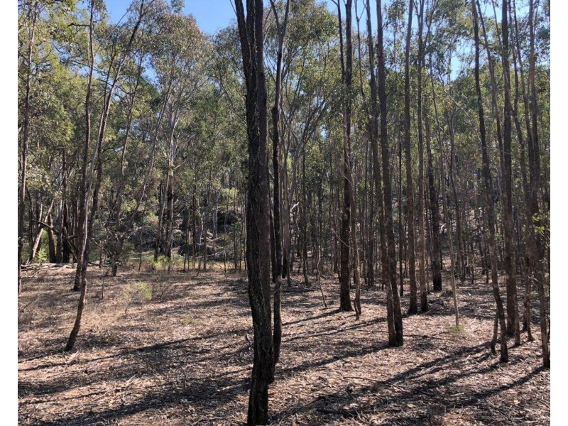 1019 Durridgerie Road, Mudgee NSW 2850