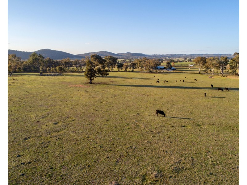 131 & 163 Buckaroo Road, Mudgee NSW 2850