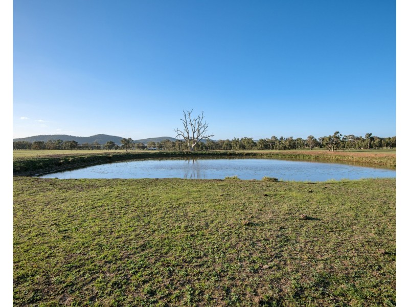 131 & 163 Buckaroo Road, Mudgee NSW 2850