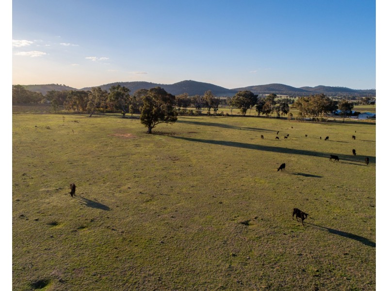 131 & 163 Buckaroo Road, Mudgee NSW 2850