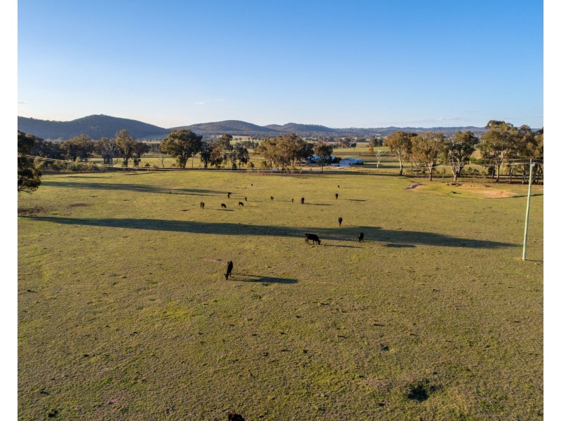 131 & 163 Buckaroo Road, Mudgee NSW 2850
