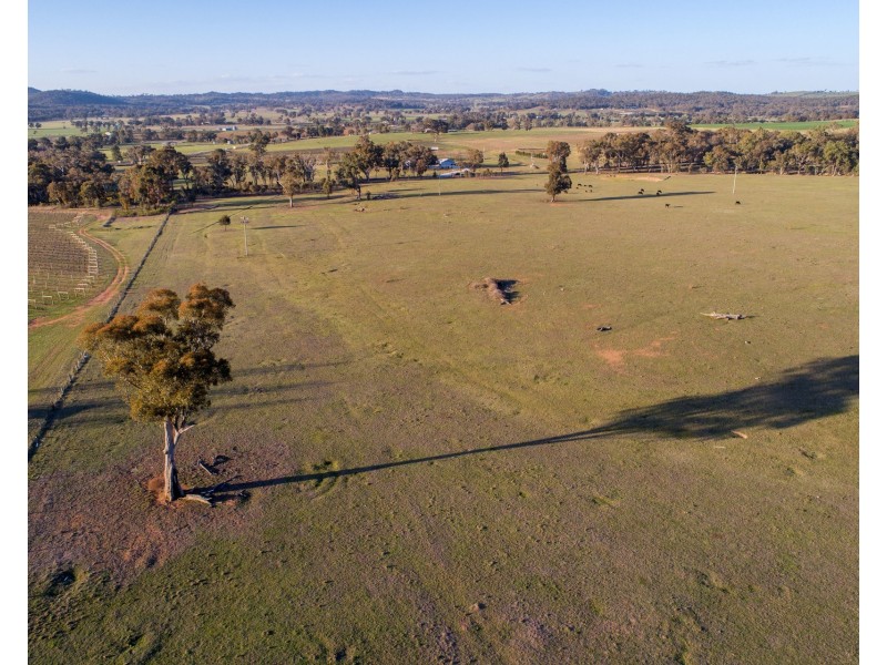 131 & 163 Buckaroo Road, Mudgee NSW 2850