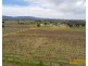 446 Rocky Waterhole Road, Mudgee NSW 2850