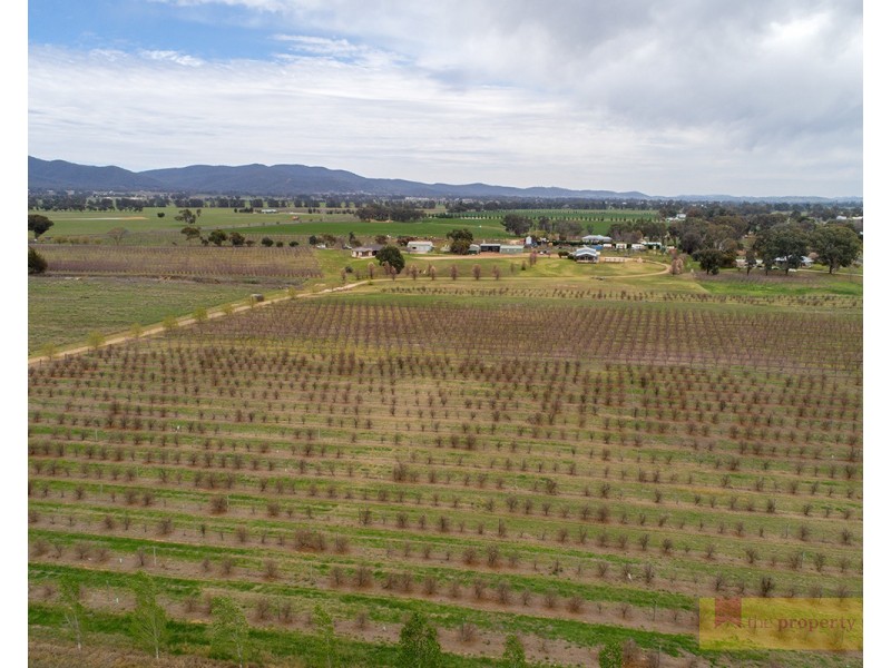 446 Rocky Waterhole Road, Mudgee NSW 2850