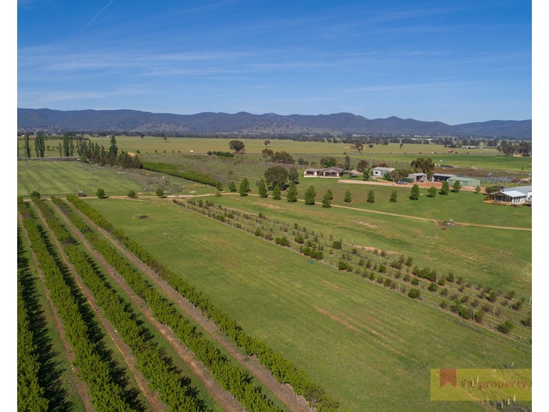 446 Rocky Waterhole Road, Mudgee NSW 2850