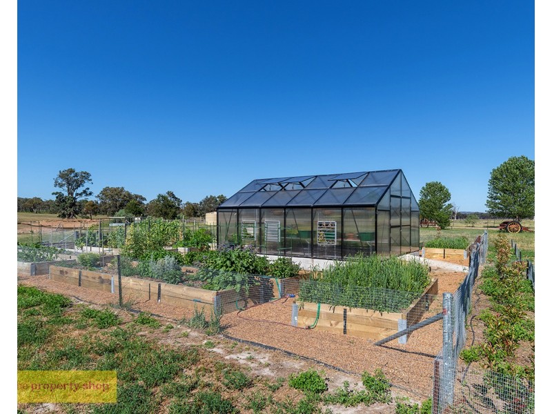 151 Wattlegrove Lane, Mudgee NSW 2850