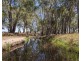 151 Wattlegrove Lane, Mudgee NSW 2850