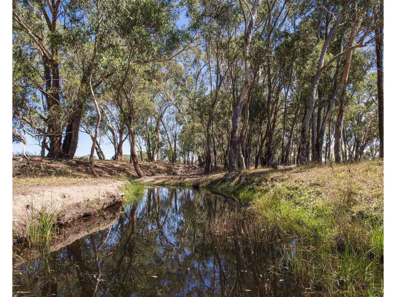 151 Wattlegrove Lane, Mudgee NSW 2850