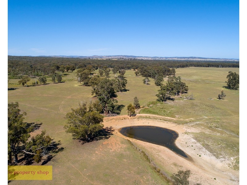 151 Wattlegrove Lane, Mudgee NSW 2850
