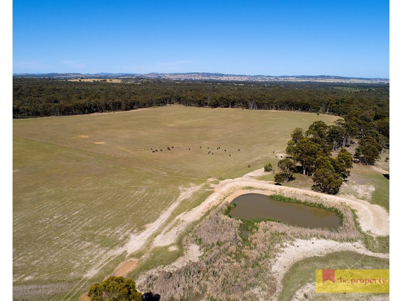 151 Wattlegrove Lane, Mudgee NSW 2850