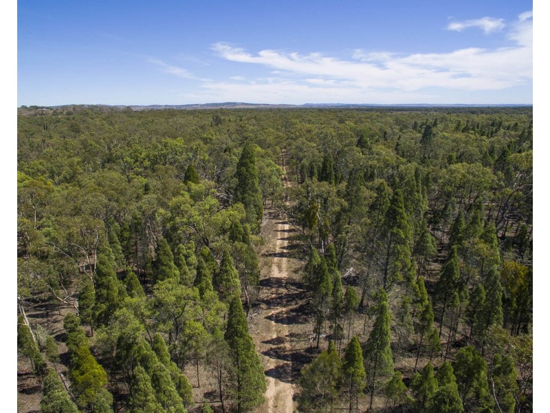 151 Wattlegrove Lane, Mudgee NSW 2850