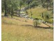956 Highland Home Road, Mudgee NSW 2850