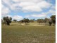 Lot 31 & 243, 1916 Windeyer Road, Mudgee NSW 2850