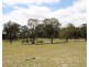 Lot 31 & 243, 1916 Windeyer Road, Mudgee NSW 2850