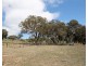 Lot 31 & 243, 1916 Windeyer Road, Mudgee NSW 2850