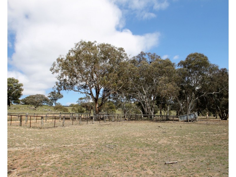 Lot 31 & 243, 1916 Windeyer Road, Mudgee NSW 2850