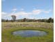 Lot 31 & 243, 1916 Windeyer Road, Mudgee NSW 2850