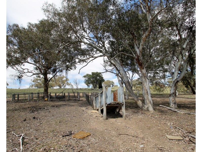 Lot 31 & 243, 1916 Windeyer Road, Mudgee NSW 2850