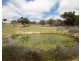 Lot 31 & 243, 1916 Windeyer Road, Mudgee NSW 2850