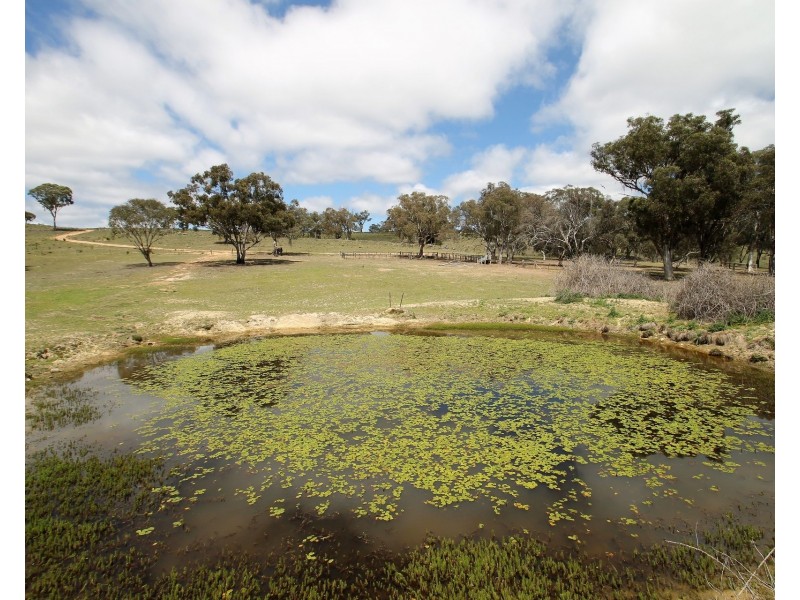 Lot 31 & 243, 1916 Windeyer Road, Mudgee NSW 2850