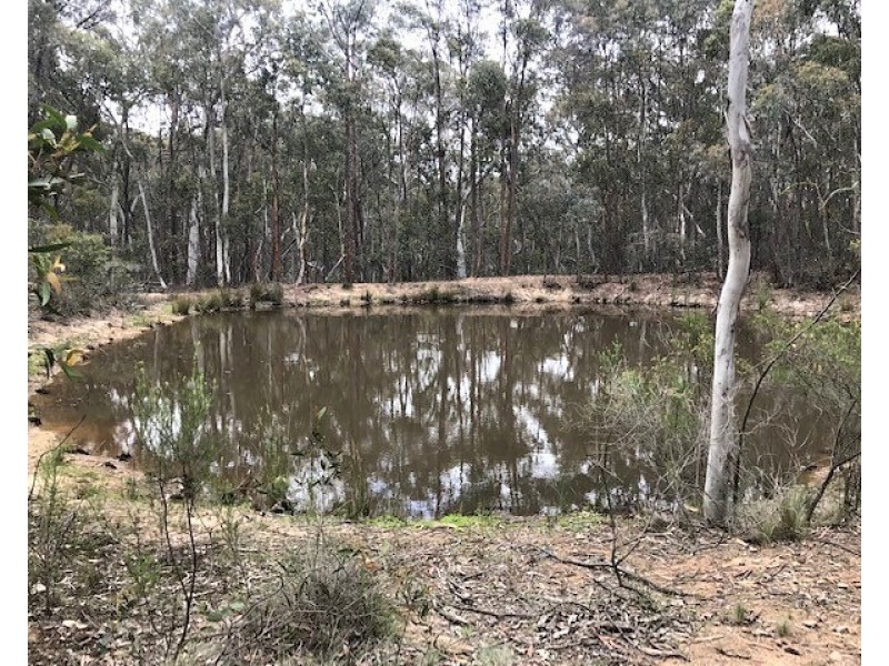 1019 Tara Loop Road, Mudgee NSW 2850