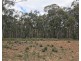 1019 Tara Loop Road, Mudgee NSW 2850