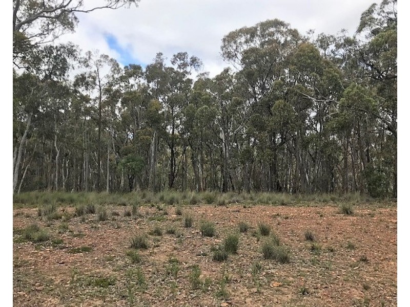 1019 Tara Loop Road, Mudgee NSW 2850