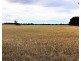 Snelsons Lane, Gulgong NSW 2852