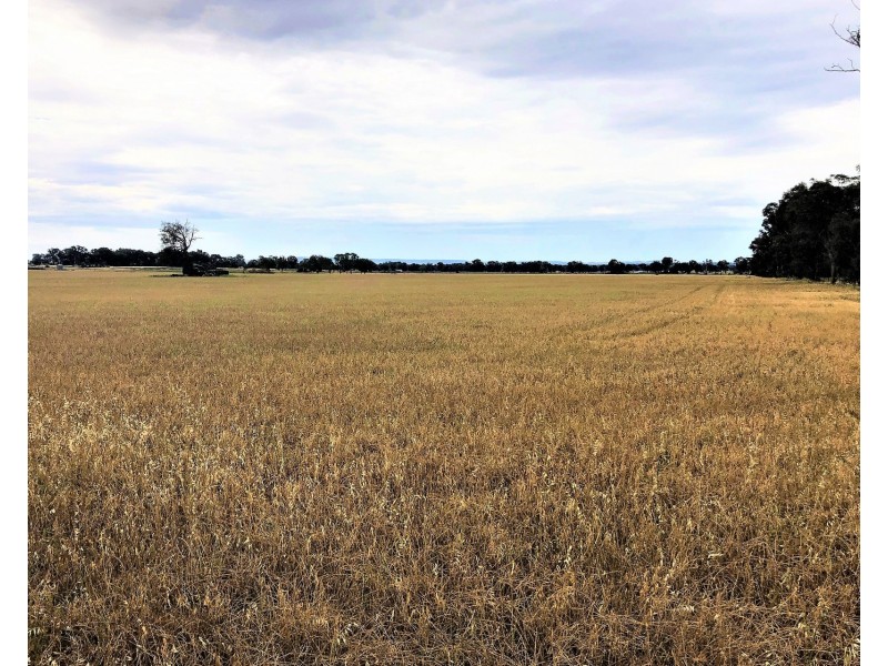 Snelsons Lane, Gulgong NSW 2852