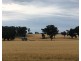 Castlereagh Highway, Gulgong NSW 2852