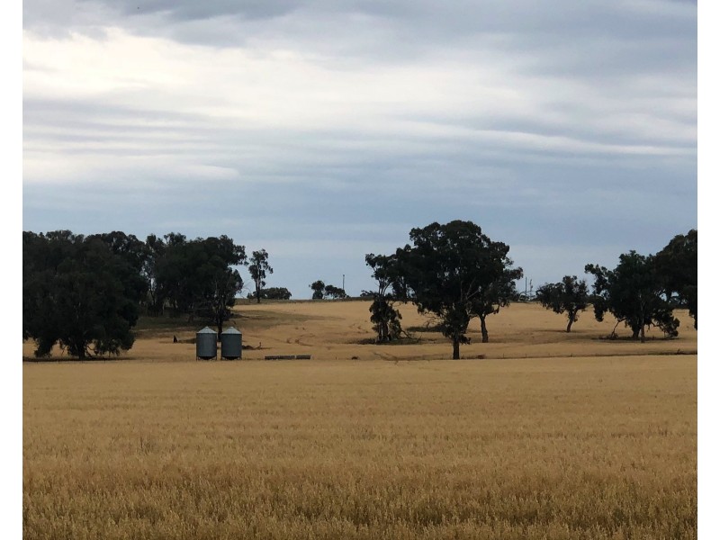 Castlereagh Highway, Gulgong NSW 2852