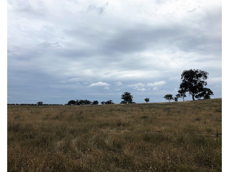 Castlereagh Highway, Gulgong NSW 2852