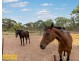 590 Cypress Drive, Mudgee NSW 2850