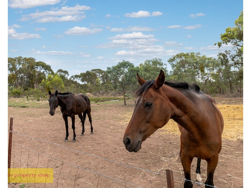 590 Cypress Drive, Mudgee NSW 2850