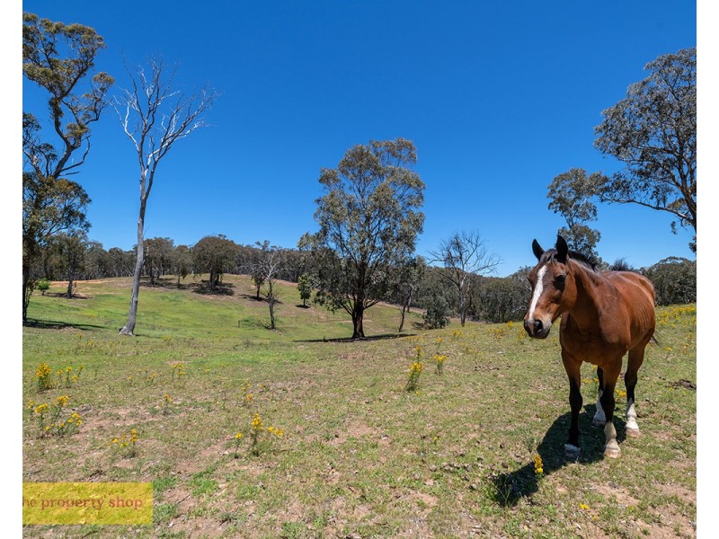 3326 Hill End Road, Mudgee NSW 2850