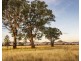 Lot 54,  Broadhead Road, Mudgee NSW 2850