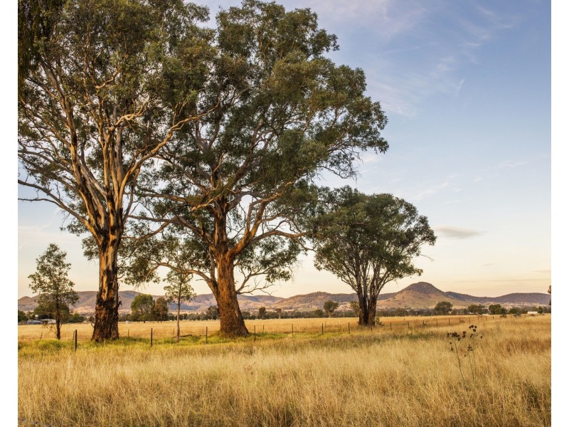 Lot 54,  Broadhead Road, Mudgee NSW 2850