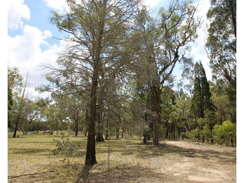 166 Maiala Road, Mudgee NSW 2850