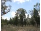 166 Maiala Road, Mudgee NSW 2850
