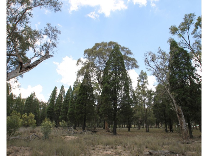 166 Maiala Road, Mudgee NSW 2850