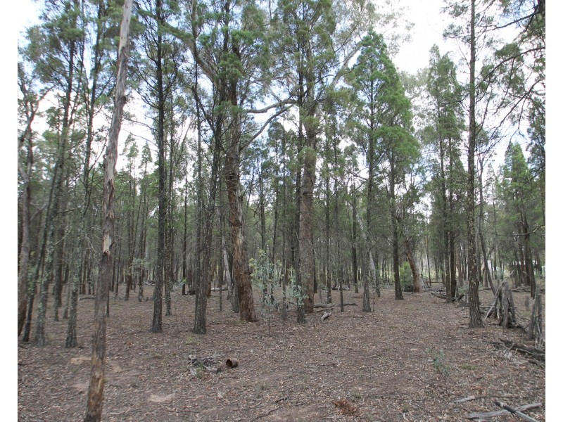 166 Maiala Road, Mudgee NSW 2850