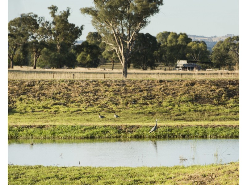 Lot 38, Broadhead Road, Mudgee NSW 2850