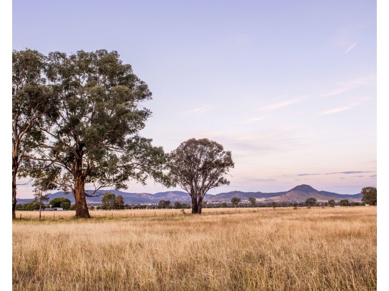 Lot 52, Broadhead Road, Mudgee NSW 2850