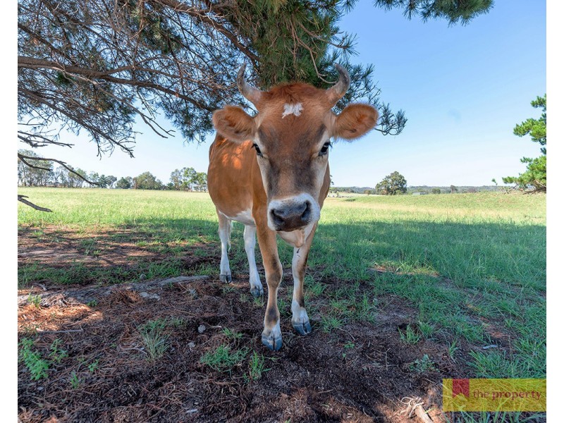 2975 Ulan Road, Mudgee NSW 2850