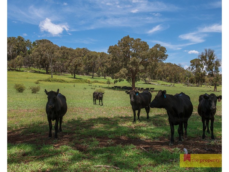 1390  Bara Road, Bara NSW 2850