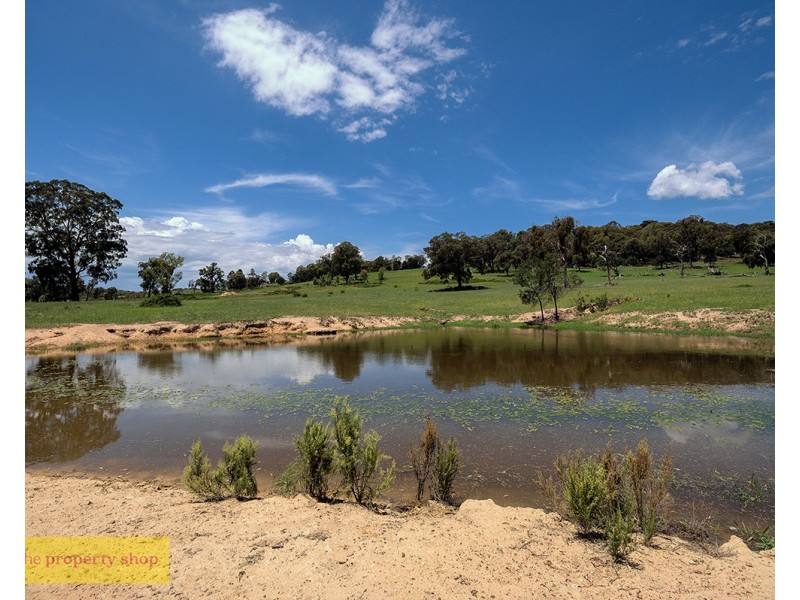 1390  Bara Road, Bara NSW 2850