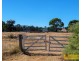 142 Black Springs Road, Mudgee NSW 2850