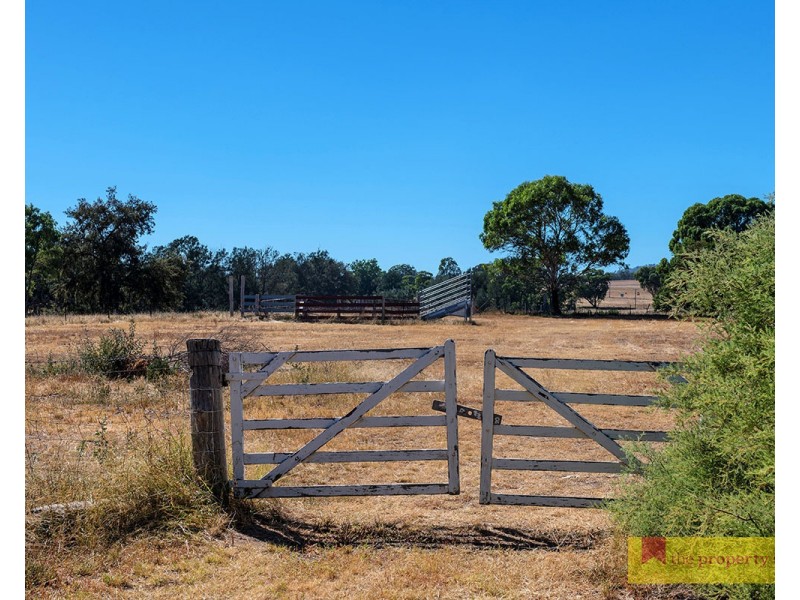142 Black Springs Road, Mudgee NSW 2850