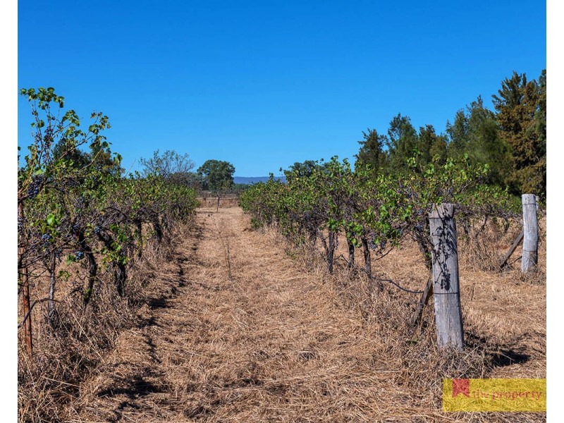142 Black Springs Road, Mudgee NSW 2850