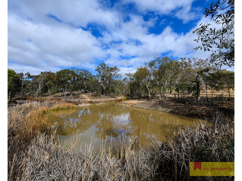 53 Brewers Lane, Mudgee NSW 2850